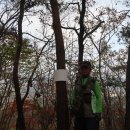 판교1리 이미지