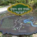 동강할미꽃마을 네이버블로그
