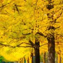 어느멋진날에 2 이미지