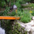 오전약수관광지 이미지