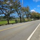 거마천로 이미지