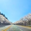 스테이 여울 이미지