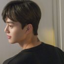 세라세미 이미지