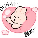 이마트 아프리카 안경원 이미지