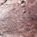 진주 가진리 새발자국과 공룡발자국 화석산지 이미지