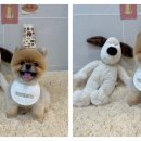 몽아뜨 이미지