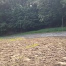 양지-2853 이미지