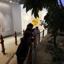 고창고인돌박물관 이미지