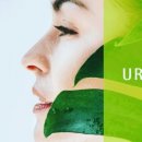 바이어간츠코리아 이미지