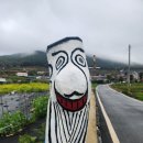 청산도 여행후기 이미지