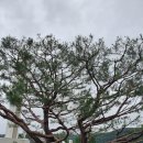 종교단체 자연장지 이미지