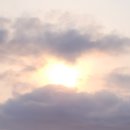 남양축산 이미지