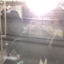 (주)링크코아피플 | [공지] 상하이 3박 4일 | 전자입국신고서 링크 | 푸동공항에서 시내까지 방법 4가지 비교 디디택시 예약...