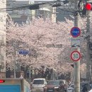 밀로밀MILOMIL 이미지