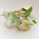 2022년 거리로 나온 예술 | 요리사 심사위원 안성재 2026 미슐랭 2스타 모수 서울 런치 가격, 와인 페어링 가격, 코스요리 솔직후기