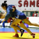 삼보 이미지