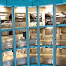 관양2동노외 이미지