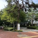 창녕군보건소(남지보건지소) | [베트남 여행준비] 장티푸스 예방접종💉 서초보건소 주사 비용, 접종 방법 및 후기