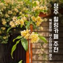물들이다 | 청주 샤스타데이지 명소 추천목향장미까지 예쁜 카페, 아르떼 물들이다 후기