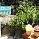 조르바민박 이미지