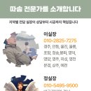 양덕삼구트리니엔4차경로당 | 포항 양덕 삼구4차 아파트 커튼 시공 – 도톰 쉬폰과 콤비블라인드로 은은하게, 세련되게