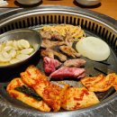 희소식소갈비살