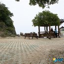 울산광역시 의회 화장실 이미지