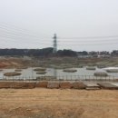 선재 낚시공원 낚시터 이미지