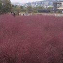 왕송호수공원 이미지