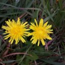 청천나들이 이미지