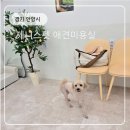 제니스펫 이미지