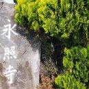 영조사 목조아미타여래삼존불감 이미지