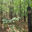 산향기의 속리여행 이미지