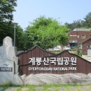 빈계산 이미지