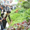 경북약업사 이미지