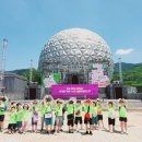 용인대 꿈나무태권도장 이미지