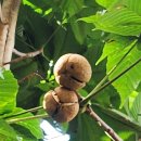 안양9경 9!9!9! 플로깅, 제8경 병목안시민공원 이미지