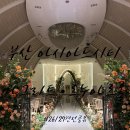 시티종합건설단(주) | 부산 아시아드시티 웨딩홀 26년 하반기/27년 상반기 견적공유 ( 르누아르·마그리트홀 )