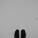 백담구이 이미지