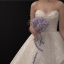 더켈리웨딩컴퍼니 | [웨딩드레스] 1편: 100~200만원 사이 드레스샵 추천 (Feat. 맑은 비즈, 화려 비즈, 실크까지)