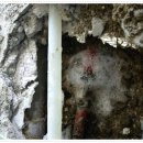 모든 누수탐지 설비 이미지