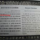 분오리어판장 Daum카페