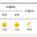 서울과 제주도 지역 날씨 중기예보 (1/29월~2/2(금) 이미지