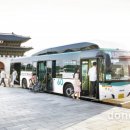 라이온씨티 이미지