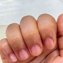 조종골 순대국감자탕 이미지