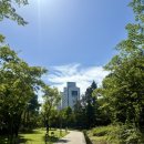 566라멘 | 한국 지로계 라멘의 최강자 : 566라멘