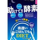 재팬레이어팩토리