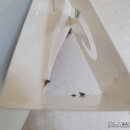 세븐 플러스 이미지