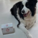 (주)에이티바이오 이미지