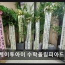 케이투아이수학올림피아드학원